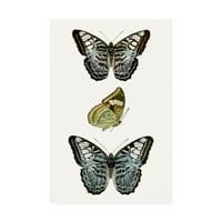 Трговска марка ликовна уметност „Примерок од пеперутка I“ платно уметност од визија студио