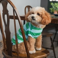 Облека за домашни миленици, кучиња и мачки, маица со миленичиња во џеб, зелена, средна